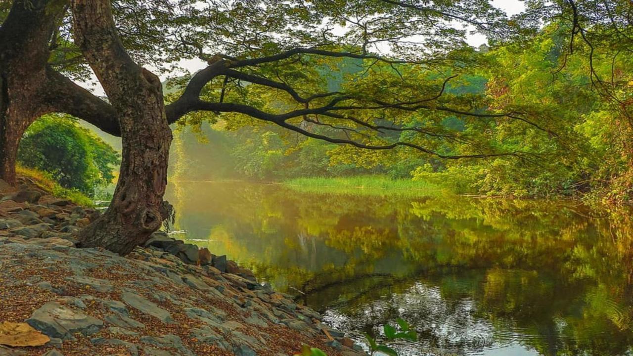 ฮอลิเดย์ อินน์ สนามบินนานาชาติมุมไบ ภายนอก รูปภาพ View of the river from the park
